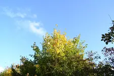 Himmlisch_32971.webp