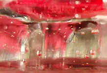 red (8).webp