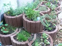 Kräutterbeet.webp