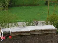 Hochbeet-KArotten.webp