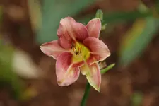 DSC09926.webp