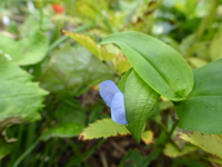 P1220355.webp