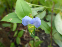 P1220354.webp