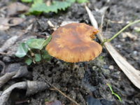 P1220331.webp