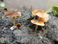 P1220332.webp
