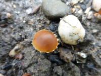 P1220333.webp