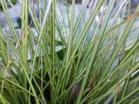 P1220290.webp