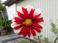 P1220295.webp