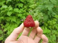 CIMG5763.webp