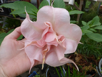 P1220254.webp