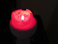 IMG_5748v.webp