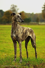Celina im Stand1_600.webp