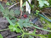 P1220350.webp