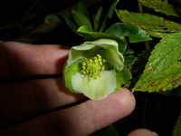 P1220149.webp