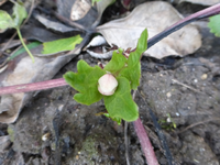 P1220336.webp