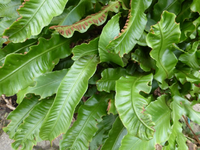 P1220250.webp