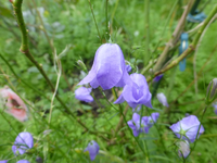 P1220227.webp
