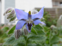 P1220303.webp