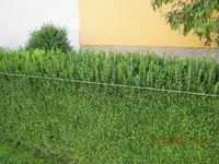 IMG_5325.webp