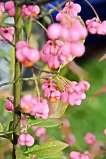 DSC_3039.webp