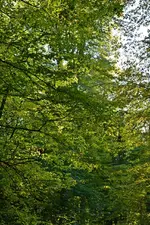 DSC_3097.webp