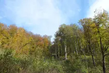 DSCF8453.webp