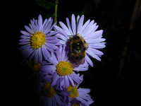 P1220394.webp