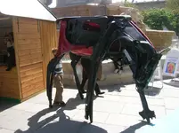 DSCN4638.webp