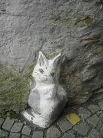 CIMG0438.webp