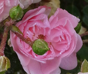 20140924_100947-3.webp