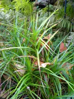 DSCN9706.webp