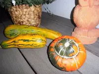 021.webp