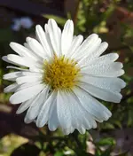 20141001_122644-1.webp