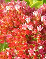 20140924_100414-1-1.webp