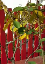 20141002_160652-1-1-1.webp