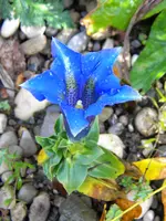DSCN9740.webp