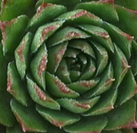 20140924_101256-1-1-1.webp