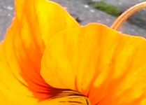 20141001_144431-1.webp