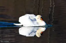 IMG_4130.webp