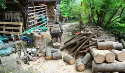 holz.webp