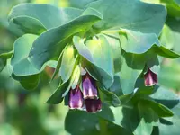 024.webp