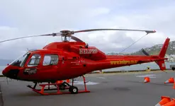 Wellington 132.webp