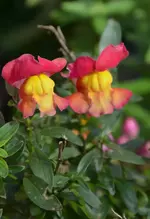 DSC_3125.webp
