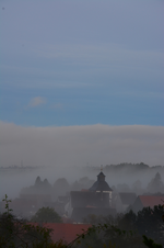 DSC_3123.webp