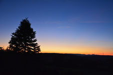 DSC_3151.webp