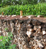 Holz.webp