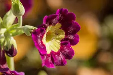 Stg 14-10-18-3839.webp