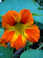 18.10.2014 005.webp