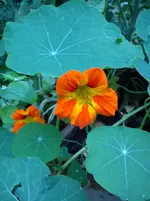 18.10.2014 001.webp