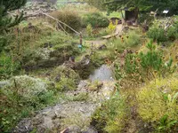 004.webp
